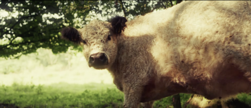 Scherm­afbeelding 2025-11-04 om 21.51.26