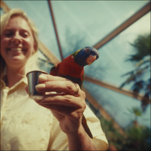 Scherm­afbeelding 2025-11-04 om 22.27.25